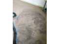 zest-carpet-upholstery-cleaning-small-0