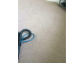zest-carpet-upholstery-cleaning-small-1