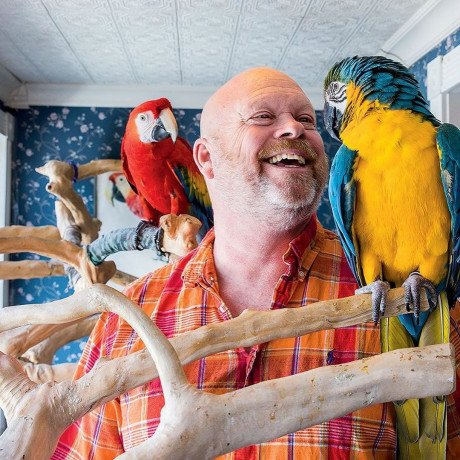 tame-blue-and-macaw-parrots-with-rings-big-0