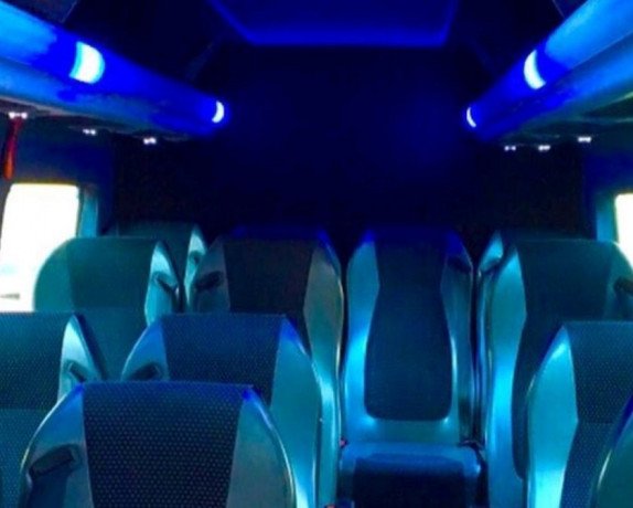 17-seater-mini-bus-hire-with-driver-big-1