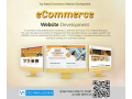 ecommerce-wordpress-website-iphone-android-app-developer-designers-online-marketing-seo-animations-small-1