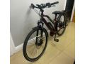 raleigh-array-e-bike-small-1