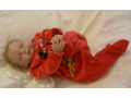 beautiful-reborn-doll-made-from-expensive-kit-small-1