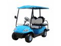 2-seater-electric-golf-cart-utility-buggy-food-golf-carts-at-wholesale-prices-small-0