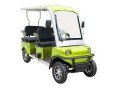 2-seater-electric-golf-cart-utility-buggy-food-golf-carts-at-wholesale-prices-small-3