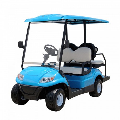 2-seater-electric-golf-cart-utility-buggy-food-golf-carts-at-wholesale-prices-big-0