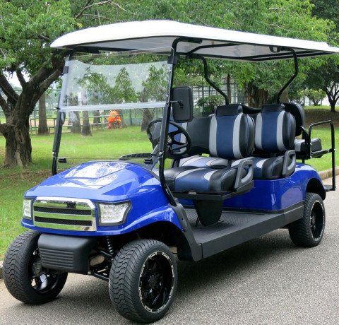 2-seater-electric-golf-cart-utility-buggy-food-golf-carts-at-wholesale-prices-big-1