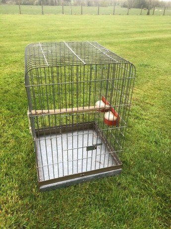parrot-cage-stand-big-0