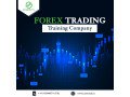 benefits-of-online-forex-trading-training-small-0