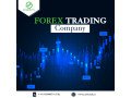 importance-of-enrolling-in-forex-training-company-small-0